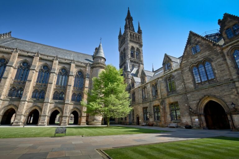 FAQ's About Online Degrees